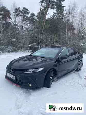Куршская коса экскурсия Калининград