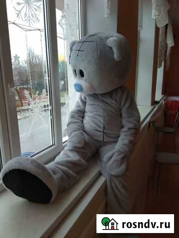 Мишка Тедди Чаплыгин - изображение 1