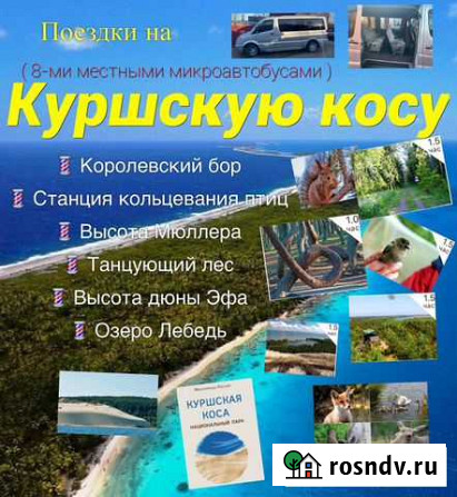 Поездки экскурсии на Куршскую косу ежедневно Калининград - изображение 1