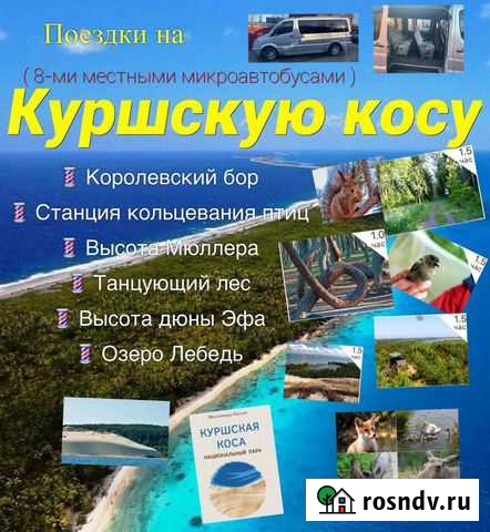 Поездки экскурсии на Куршскую косу ежедневно Калининград - изображение 1