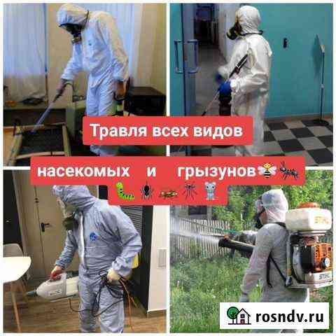 Уничтожение клопов, тараканов, блох и тд Сосновый Бор