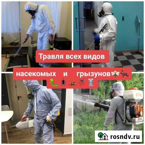 Уничтожение клопов, тараканов, блох и тд Сосновый Бор - изображение 1