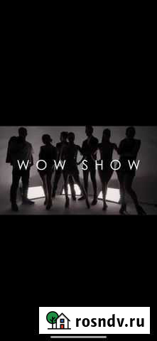 Шоу балет Симоненко - изображение 1