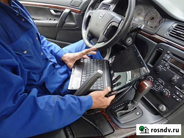 Удаление катализаторов прошивка евро- 2 Донской - изображение 1