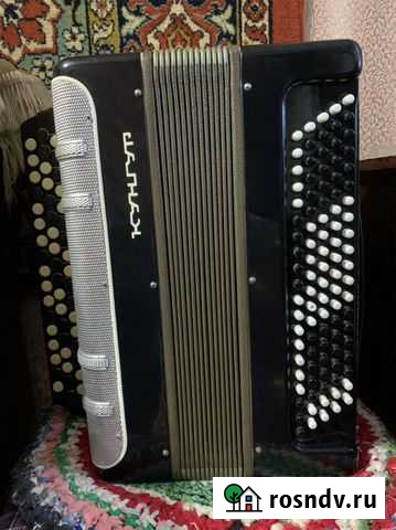 Баян Камышин - изображение 1