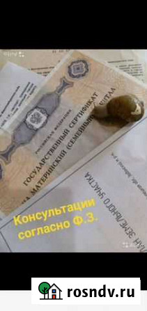 Консультации по материнскому капиталу Липецк - изображение 1