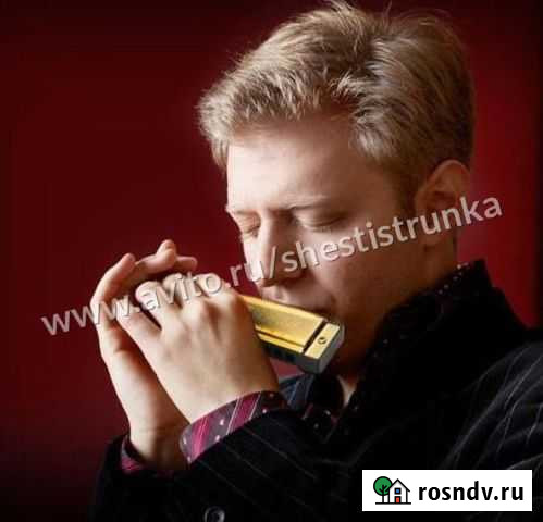 Диатоническая губная гармошка Swan. Пересыл Волгоград - изображение 1