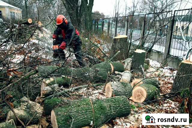 Уборка участков Спил деревьев Оренбург - изображение 1