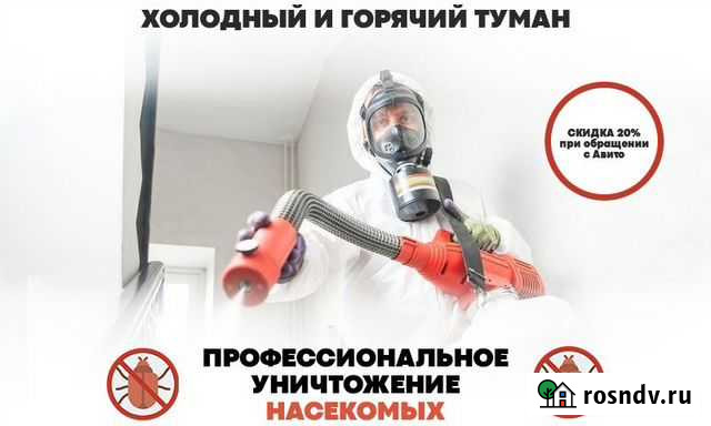 Дезинсекция. Уничтожение тараканов, крыс, мышей Ульяновск - изображение 1