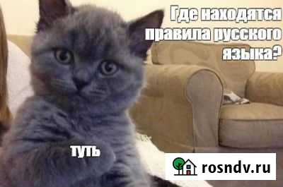 Репетитор по русскому языку, подготовка к огэ Новосибирск - изображение 1