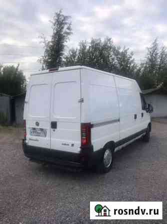 Грузоперевозки переезды ducato Санкт-Петербург