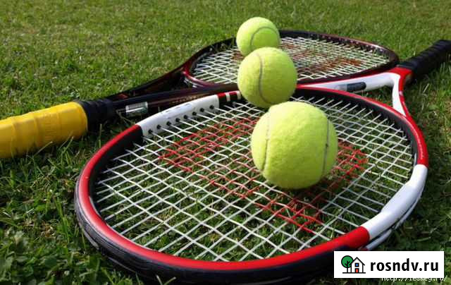 Обучение большому теннису Пенза - изображение 1