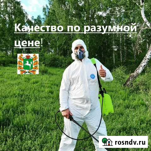 Обработка от траканов, клопов, муравьёв, блох Томск - изображение 1