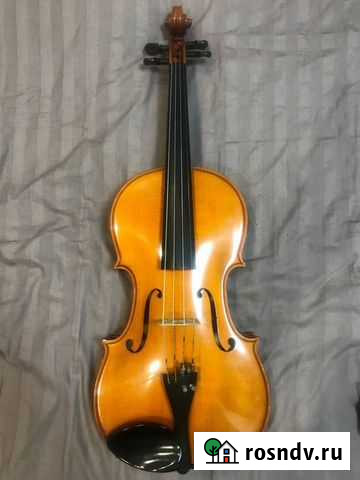 Альт Санкт-Петербург - изображение 1