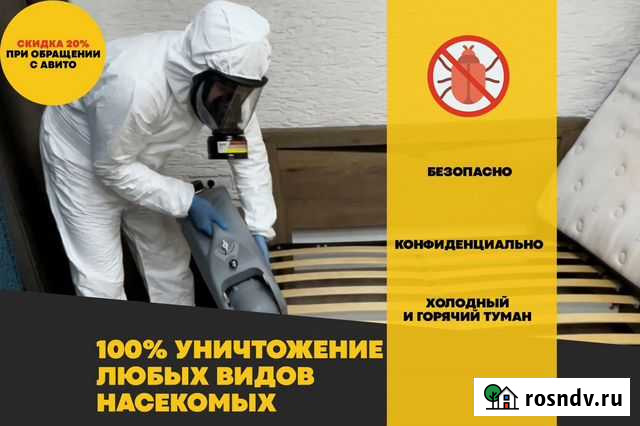 Уничтожение насекомых, грызунов. Дезинсекция Петрозаводск - изображение 1