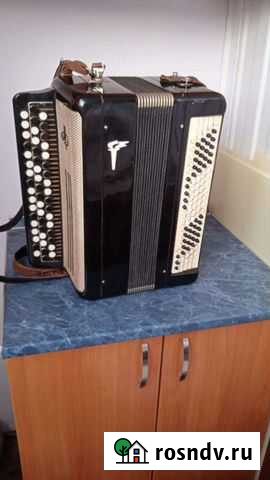 Баян Барнаул - изображение 1