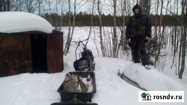 Мото-собака Вологда - изображение 1