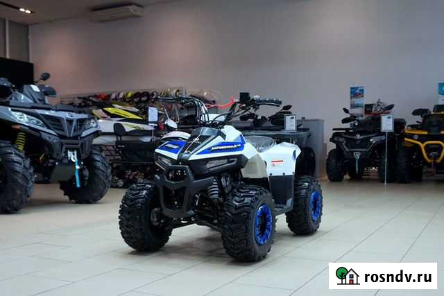 Yacota Raposa Липецк - изображение 1