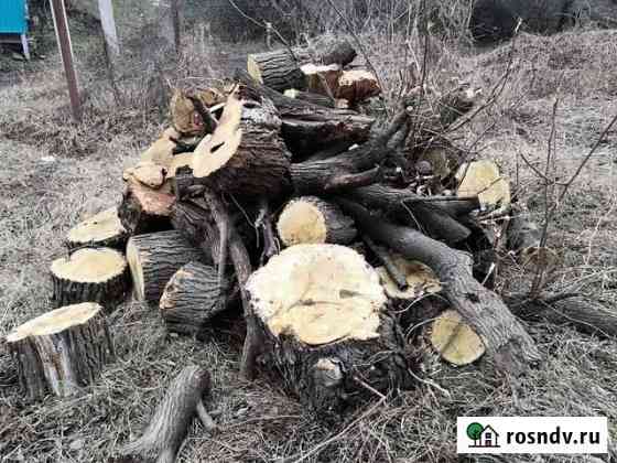 Дрова Шахты