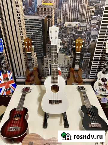 Укулеле концерт Рязань - изображение 1