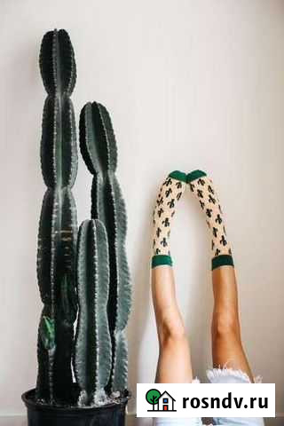 Все виды восковой эпиляции Ладушкин - изображение 1