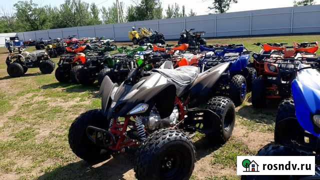 Pantera 150 NEW Маркс - изображение 1