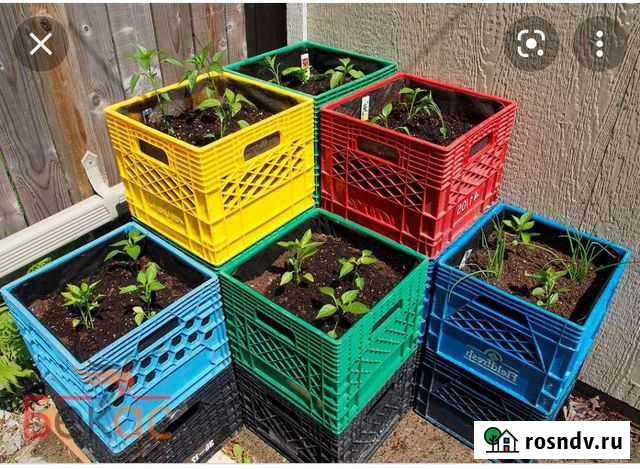 Ящики из под фруктов Майма - изображение 1