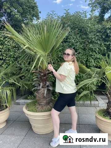 Репетитор Боровск - изображение 1