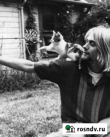 Репетитор Мурино - изображение 1