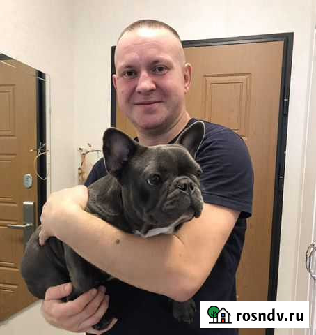 Ремонт стиральных и посудомоечных машин Москва - изображение 1