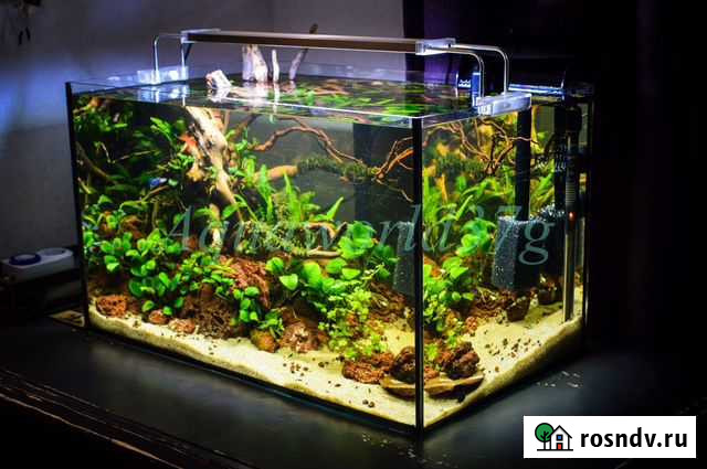 Аквариумы под ключ,обслуживание Aquaworld37 Иваново - изображение 1