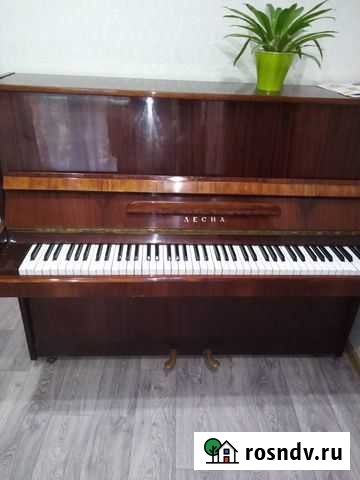 Фортепиано Лысково - изображение 1
