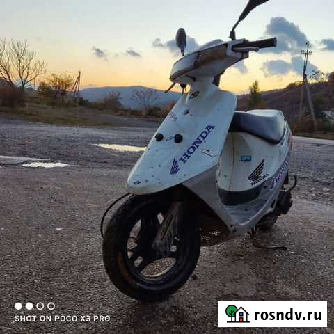 Сузуки сепия Судак - изображение 1