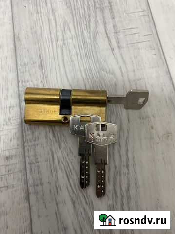 Личинка замка Балашов - изображение 1