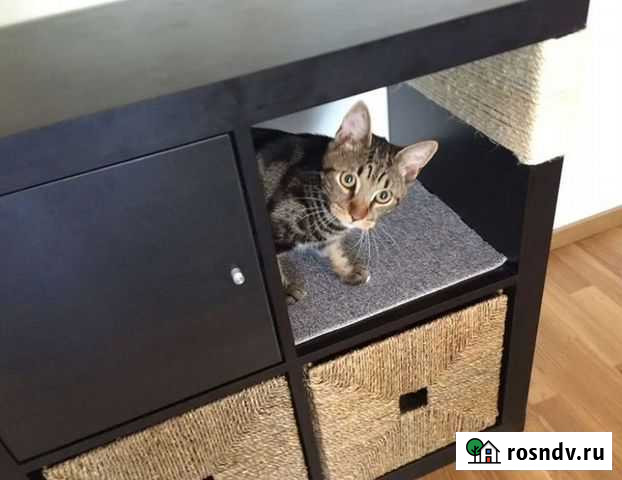 Сборка мебели Опытный мастер Красноярск - изображение 1