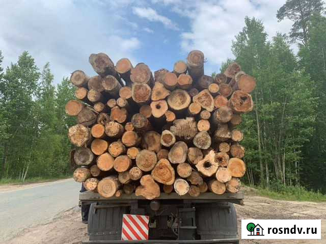 Лес кругляк лежневый Стрежевой - изображение 1