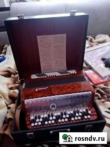 Баян Новороссийск - изображение 1