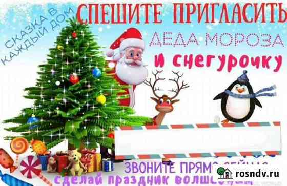 Дед мороз и снегурочка на дом Советск