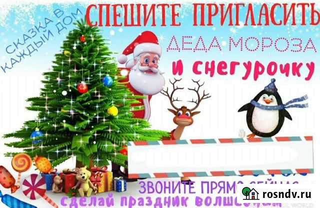 Дед мороз и снегурочка на дом Советск - изображение 1