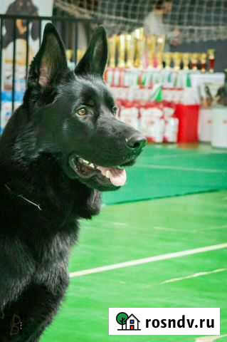 Вязка Екатеринбург - изображение 1