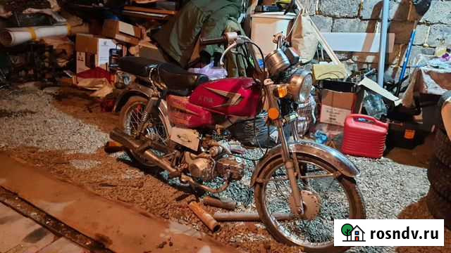 Дельфа Болотное - изображение 1