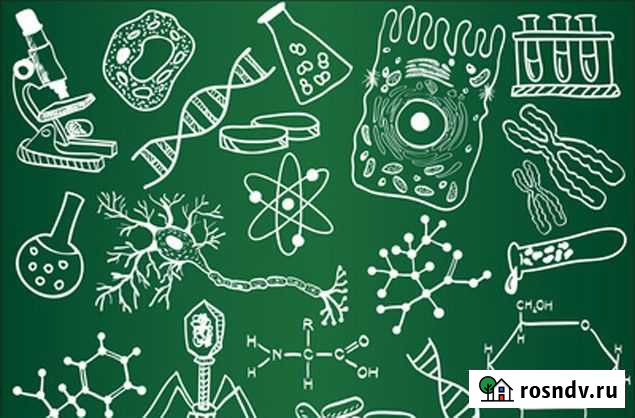 Репетитор по химии и биологии по Skype Тюмень - изображение 1