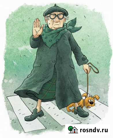 Коррекция поведения и выгул собак Санкт-Петербург - изображение 1