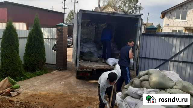 Вывоз мусора Пушкино - изображение 1