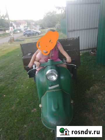 Муравей Каменск-Уральский - изображение 1