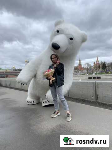 Мишка на поздравления Москва - изображение 1