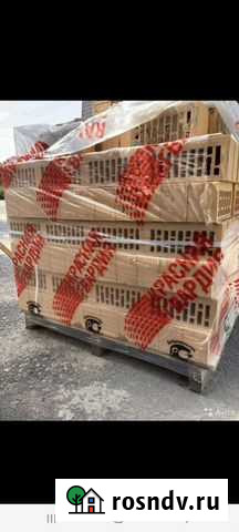 Кирпич Новая Усмань - изображение 1