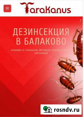 Дезинсекция. Дезинфекция Балаково - изображение 1