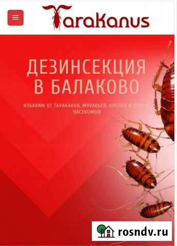 Дезинсекция. Дезинфекция Балаково - изображение 1