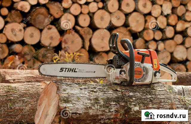 Спил деревьев Колпны - изображение 1